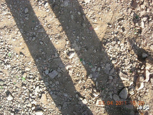 BigBull_110403  张家口游玩 241.jpg