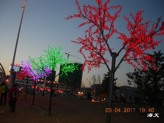 BigBull_110403  张家口游玩 264.jpg