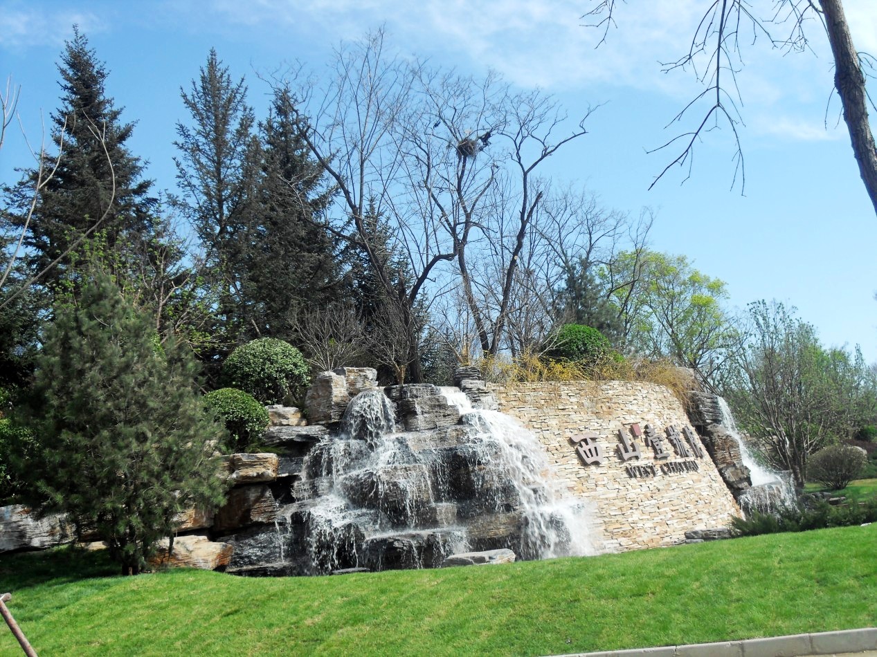 conew_sdc17732_conew1.jpg