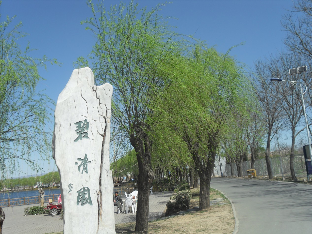 conew_sdc17793.jpg