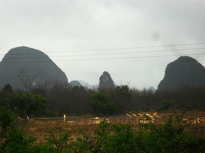 调整大小 SDC13807.JPG