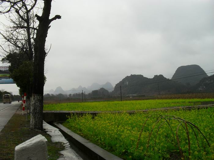 调整大小 SDC13817.JPG