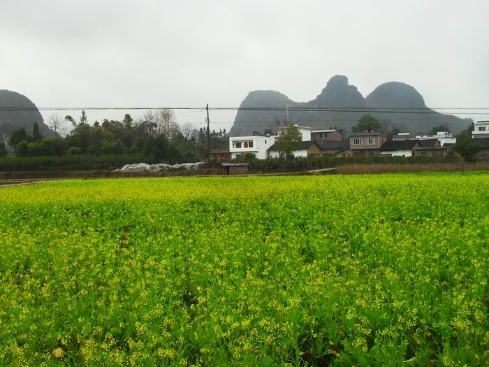 调整大小 SDC13814.JPG