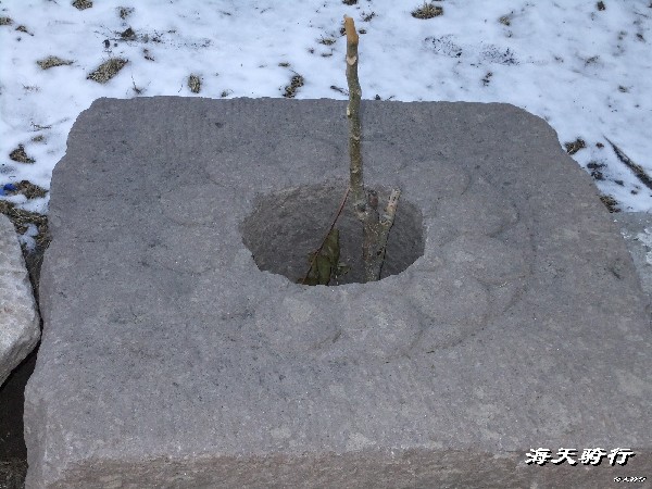 BigBull_BigBull_110404  丁 318.jpg