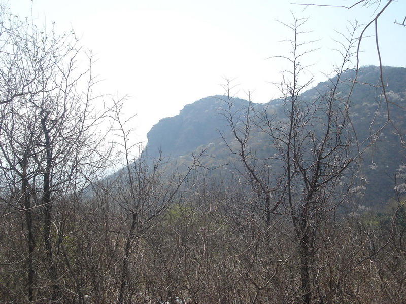 DSC07774_缩小大小.JPG