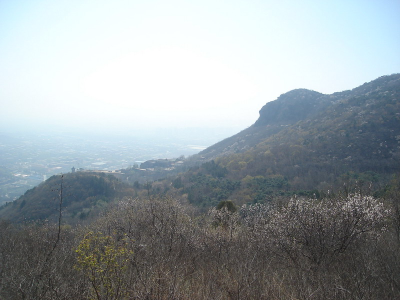 DSC07778_缩小大小.JPG