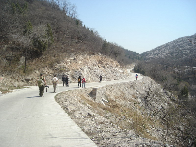 DSC07796_缩小大小.JPG