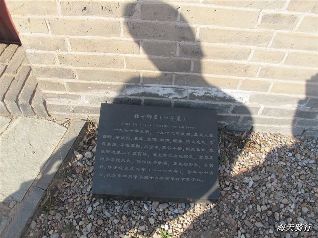 BigBull_110404  苏 392.jpg