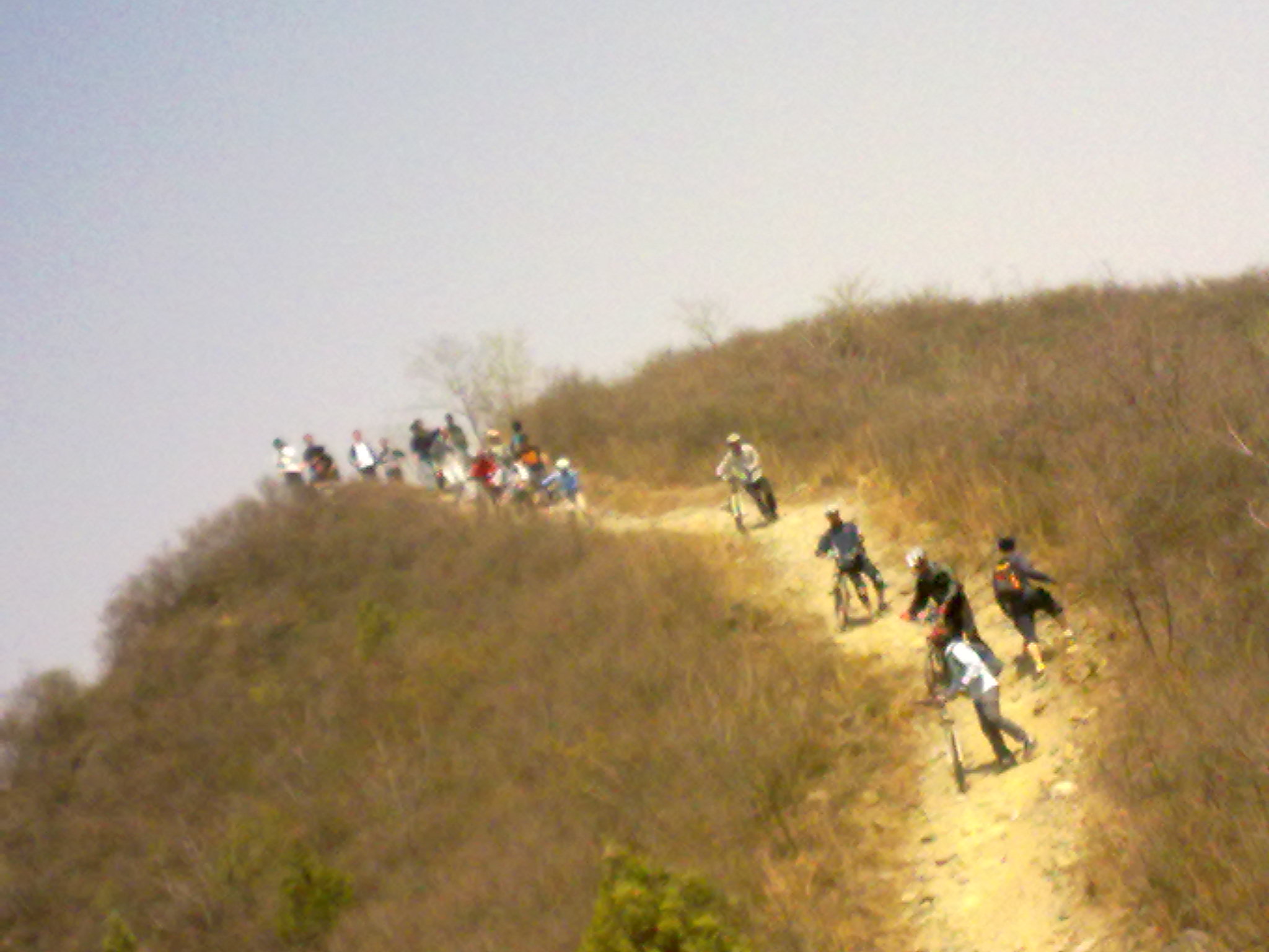 20110416177.jpg