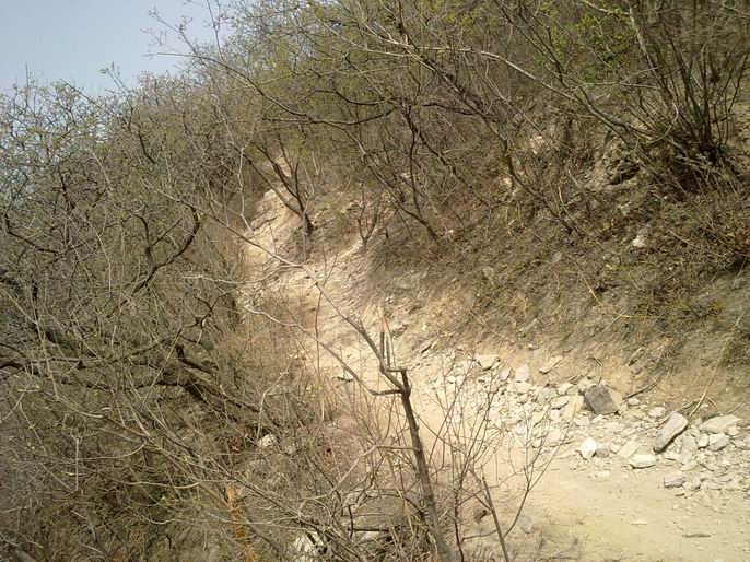 调整大小 20110416186.jpg