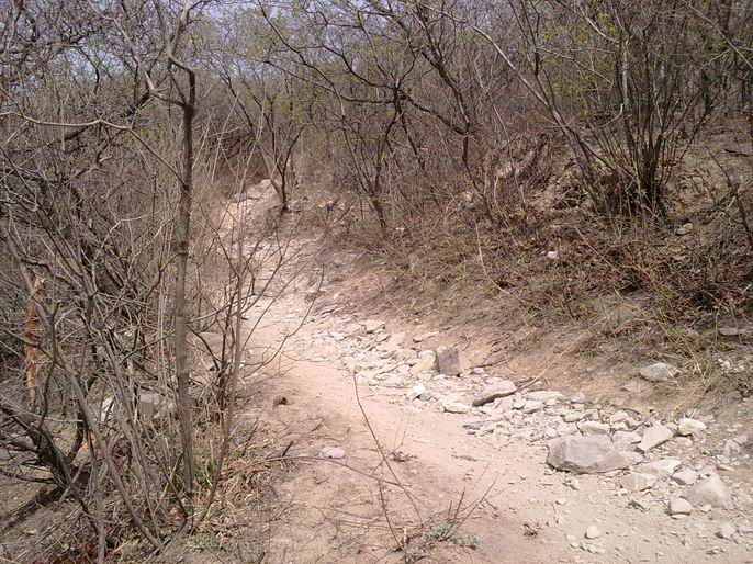 调整大小 20110416187.jpg