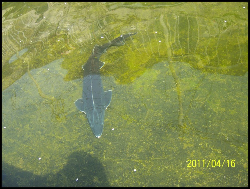 conew_照片 057.jpg