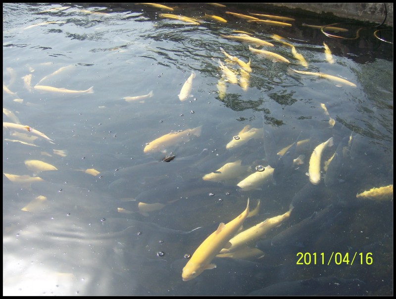 conew_照片 058.jpg