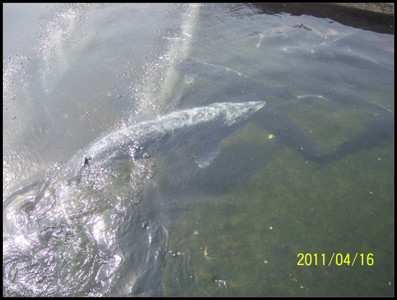 conew_照片 060.jpg