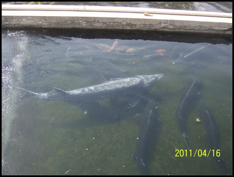 conew_照片 061.jpg