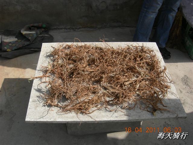 BigBull_110416 果树园牛肚宴 008.jpg