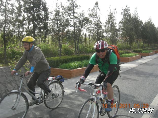 BigBull_110416 果树园牛肚宴 014.jpg