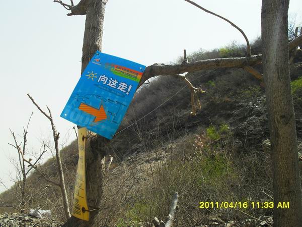 调整大小 SDC14959.JPG