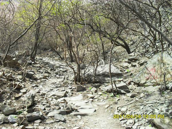 调整大小 SDC14966.JPG