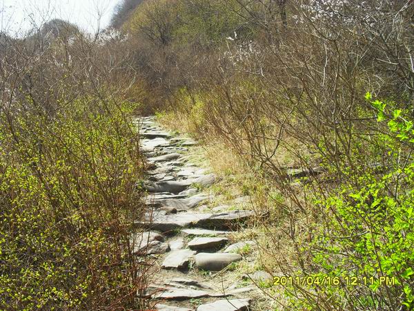 调整大小 SDC14971.JPG