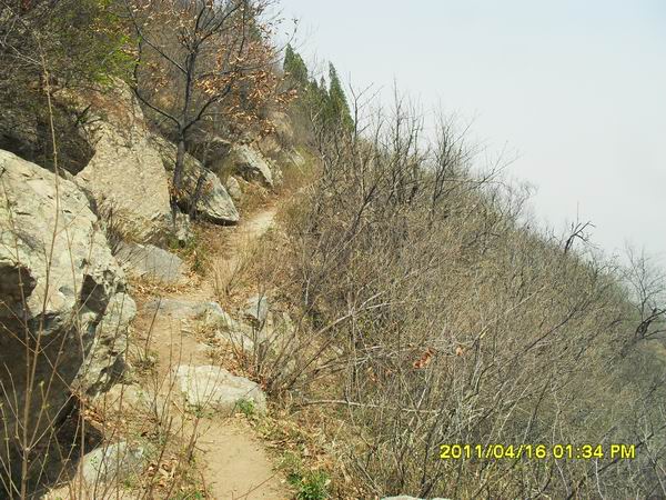 调整大小 SDC14998.JPG