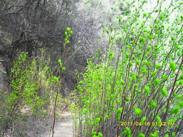 调整大小 SDC15007.JPG