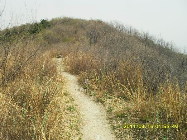 调整大小 SDC15012.JPG