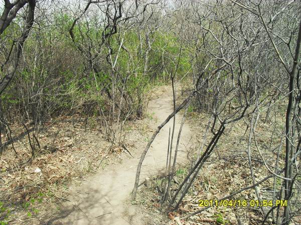 调整大小 SDC15014.JPG