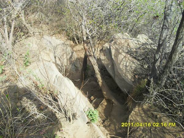 调整大小 SDC15020.JPG