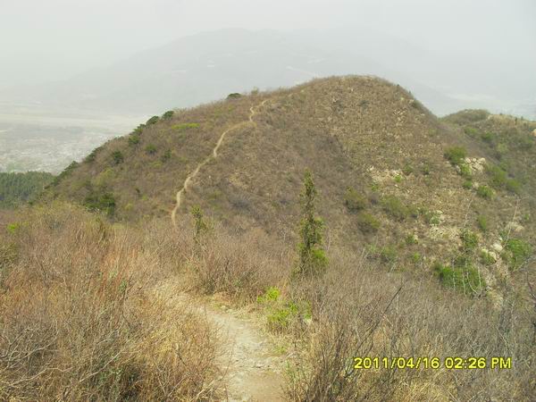 调整大小 SDC15024.JPG