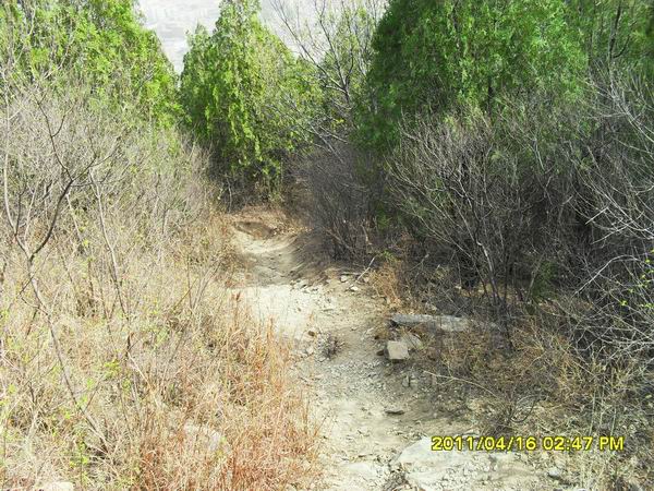 调整大小 SDC15026.JPG