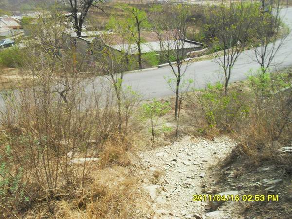 调整大小 SDC15027.JPG