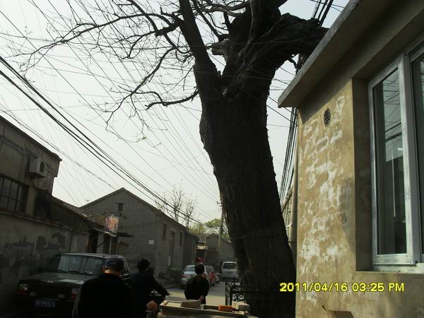 调整大小 SDC15038.JPG