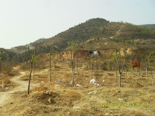 调整大小 SDC15041.JPG