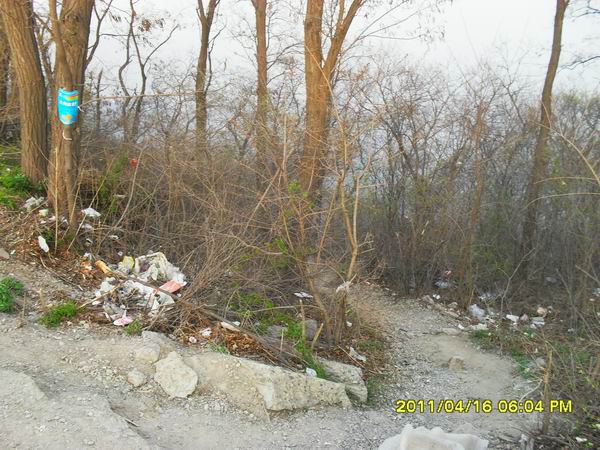 调整大小 SDC15060.JPG