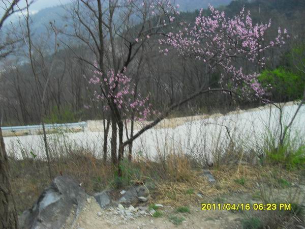 调整大小 SDC15063.JPG