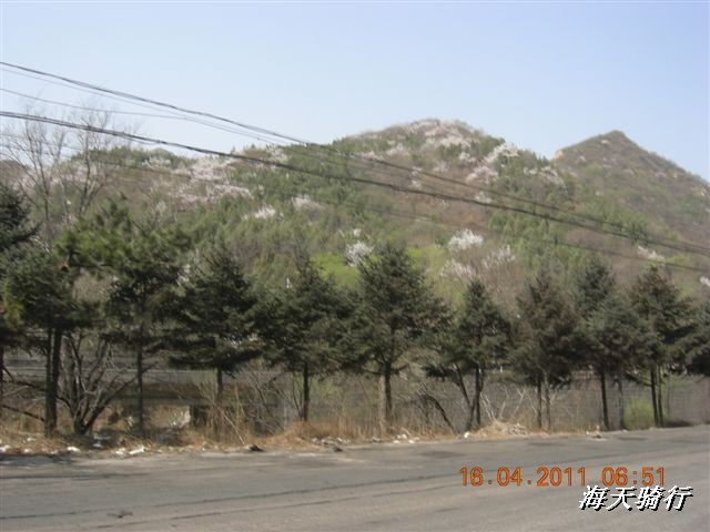 BigBull_110416 果树园牛肚宴 042.jpg