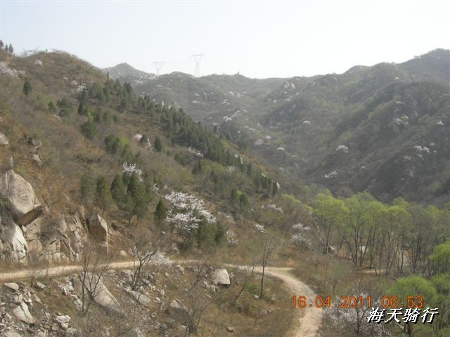 BigBull_110416 果树园牛肚宴 053.jpg