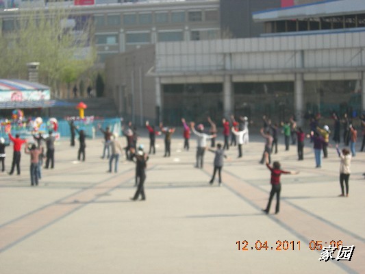 BigBull_天通苑公园花卉 044.jpg