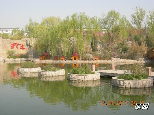 BigBull_天通苑公园花卉 040.jpg