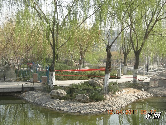 BigBull_天通苑公园花卉 049.jpg