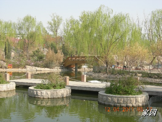 BigBull_天通苑公园花卉 048.jpg