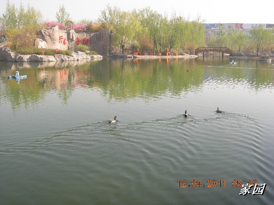 BigBull_天通苑公园花卉 073.jpg