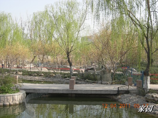 BigBull_天通苑公园花卉 062.jpg