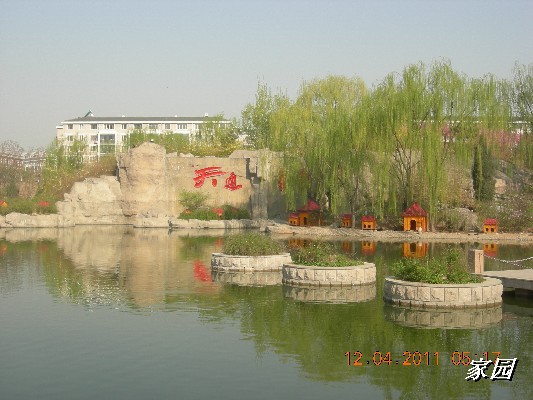 BigBull_天通苑公园花卉 063.jpg