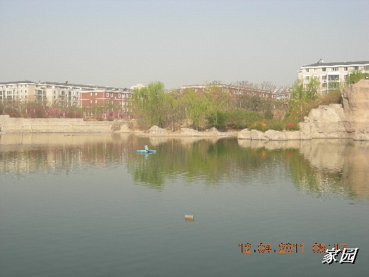 BigBull_天通苑公园花卉 064.jpg