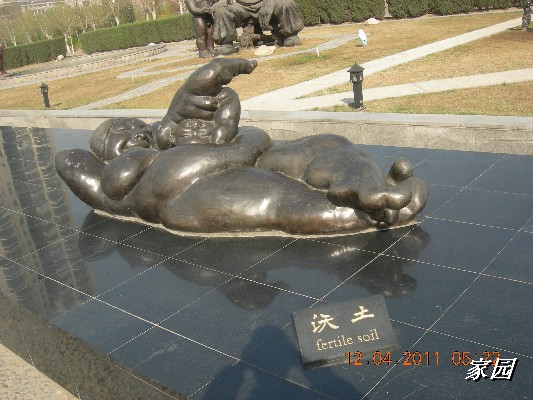 BigBull_天通苑公园花卉 076.jpg