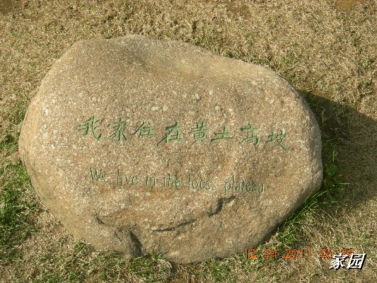 BigBull_天通苑公园花卉 091.jpg