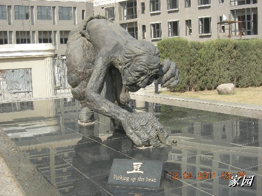 BigBull_天通苑公园花卉 098.jpg