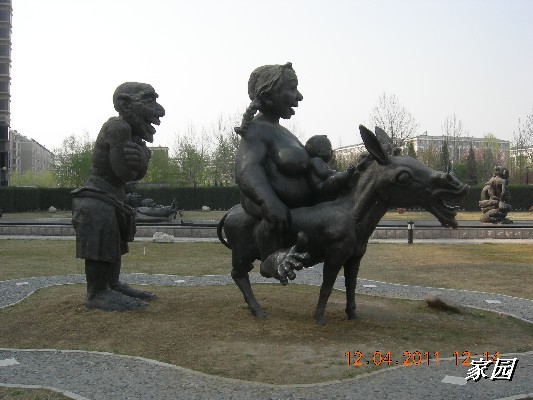 BigBull_天通苑公园花卉 121.jpg